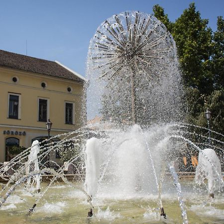 Marusius Apartmanház Apartamento Makó Exterior foto